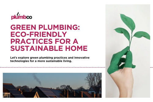 Green Plumbing: Eco-Friendly Practices for a Sustainable Home